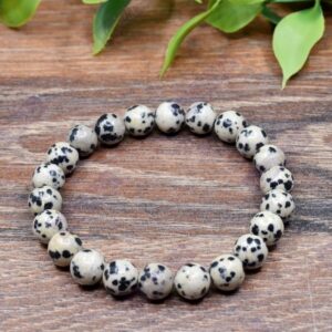 Dalmatian Jasper Beaded Bracelet For Loyalty, Friendship, Happiness, Strength