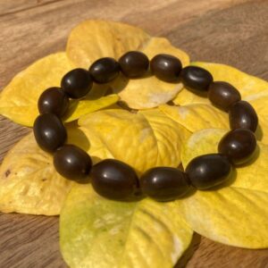 Kamalgatta Bracelet (Lotus Seeds) For Invites Lakshmi & Wealth Keeps Increasing
